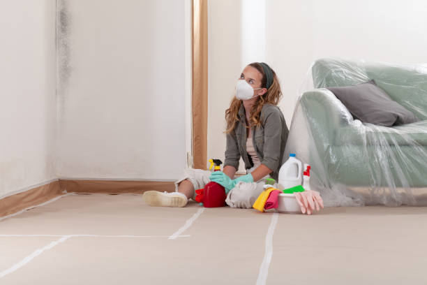 Reliable Mold Remediation contractor in Lancaster, TX by WQB Mold Removal